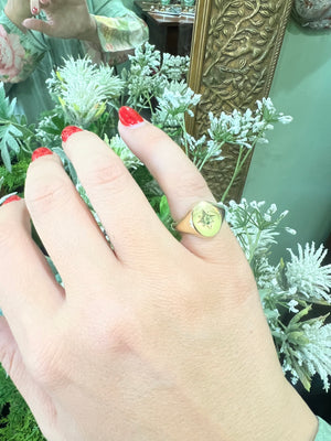 Parti Sapphire Signet Ring in 9ct Yellow Gold