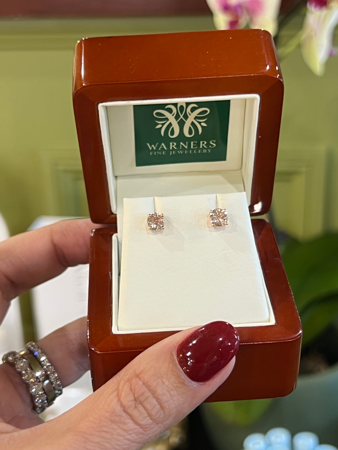 Morganite Studs in 9ct Rose Gold