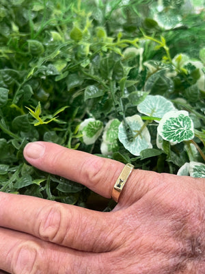 Parti Sapphire Signet Ring in 9ct Yellow Gold
