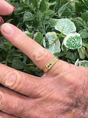 Parti Sapphire Signet Ring in 9ct Yellow Gold