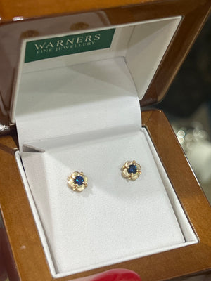 Sapphire Studs in 9ct Yellow Gold