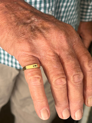 Parti Sapphire Signet Ring in 9ct Yellow Gold